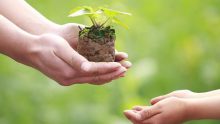 Phật dạy rằng, điều này có thể giúp ta thay đổi cuộc đời